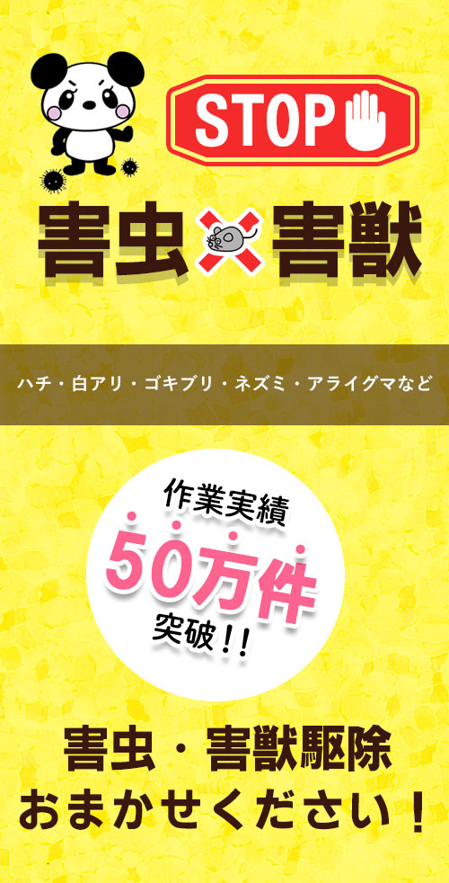 アールクリーニング,害虫,害獣,害虫駆除,害獣駆除？