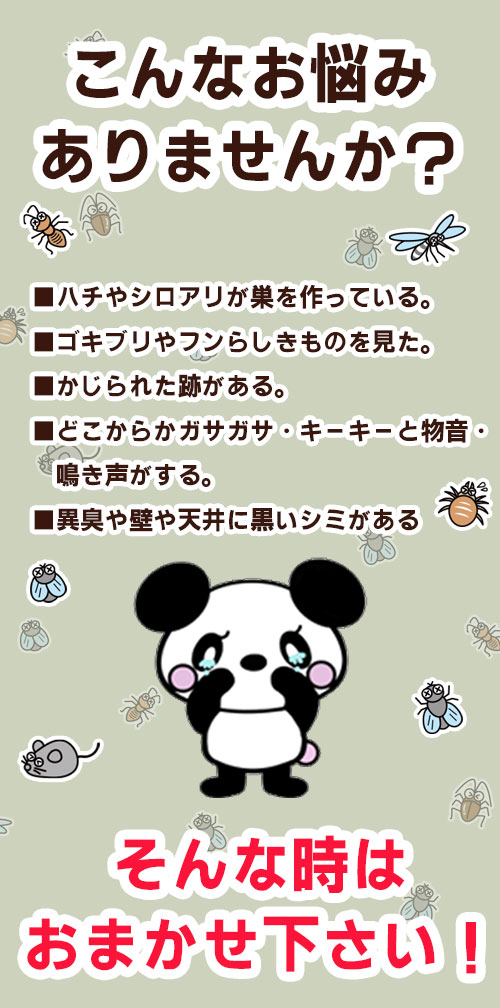 アールクリーニング,害虫,害獣,害虫駆除,害獣駆除,こんなお悩みありませんか